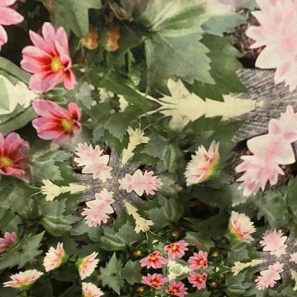 Ted Baker floral printed dress, size 4 - Picture 3 of 6